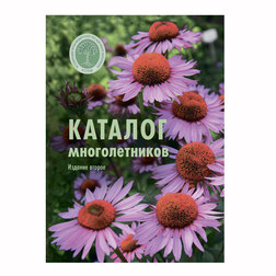 ������ ������ ������� ������������� (����)   ����