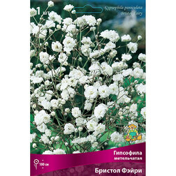 ������ ������ ��������� ����������� ������� �����   ����