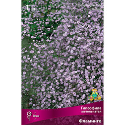 ������ ������ ��������� ����������� ��������   ����