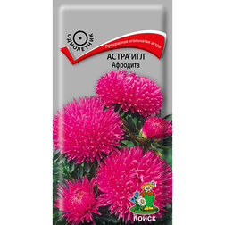 ������ ������ ����� ��� ��������   ����