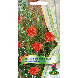 ������ ������ ������ ������������ ��������� ������   ����