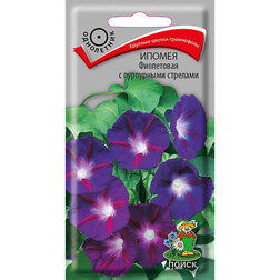 ������ ������ ������ ���������� � ���������� ��������   ����