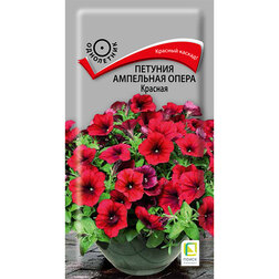 ������ ������ ������� ��������� ����� �������   ����