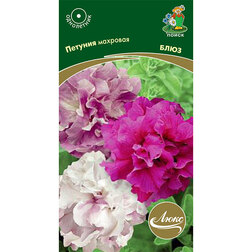 ������ ������ ������� �������� ����   ����