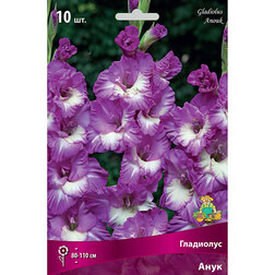 ������ ������ ��������� ����   ����