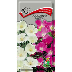 ������ ������ ��������� ���������   ����