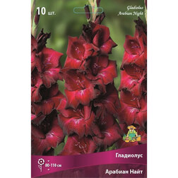 ������ ������ ��������� ������� ���� (10 ��.)   ����