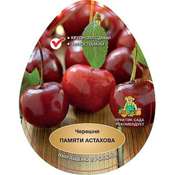 ������ ������ ������� ������ ��������   ����