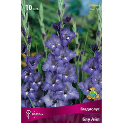 ������ ������ ��������� ��� ���   ����