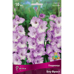 ������ ������ ��������� ��� �����   ����