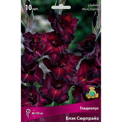 ������ ������ ��������� ���� �������� (10 ��.)   ����