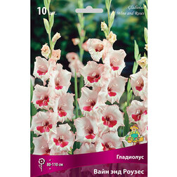 ������ ������ ��������� ���� ��� ������   ����