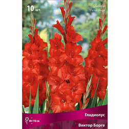 ������ ������ ��������� ������ �����   ����