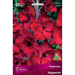 ������ ������ ��������� ��������   ����