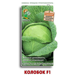 ������ ������ ������� ������������ ������� F1   ����