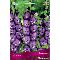 ������ ������ ��������� ��������   ����