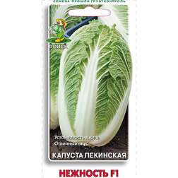 ������ ������ ������� ��������� �������� F1   ����