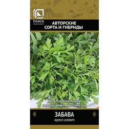 ������ ������ �����-����� ������   ����