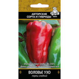 ������ ������ ����� ������� ������� ���   ����