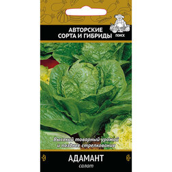 ������ ������ ����� ������� (��� �����)   ����