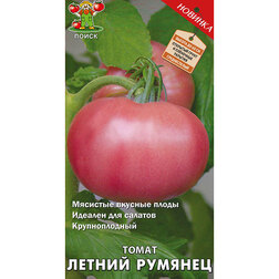 ������ ������ ����� ������ �������   ����