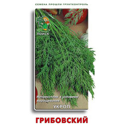 ������ ������ ����� ����������   ����