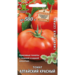 ������ ������ ����� ��������� ������� (��������� �����)   ����