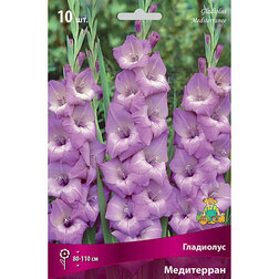 ������ ������ ��������� ����������   ����