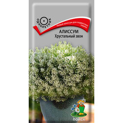 ������ ������ ������� ����������� ����   ����