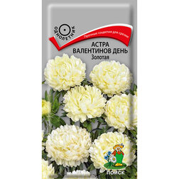 ������ ������ ����� ���������� ���� �������   ����