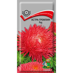 ������ ������ ����� ������� ���   ����