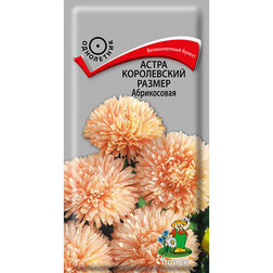 ������ ������ ����� ����������� ������ �����������   ����