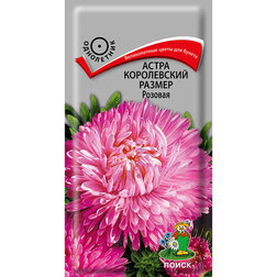 ������ ������ ����� ����������� ������ �������   ����