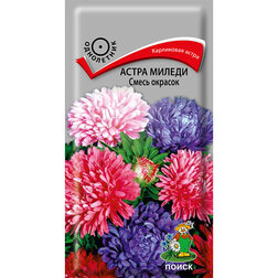 ������ ������ ����� ������ ����� �������   ����