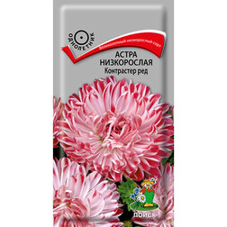 ������ ������ ����� ����������� ���������� ���   ����