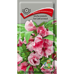 ������ ������ ��������� ��� ���� �������   ����