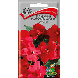 ������ ������ ��������� �������� ����� ��������   ����