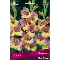 ������ ������ ��������� ��� ����   ����