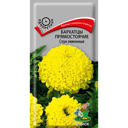 ������ ������ �������� ������������ ���� ��������   ����