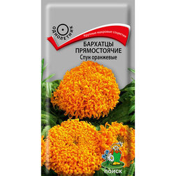 ������ ������ �������� ������������ ���� ���������   ����