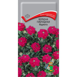 ������ ������ ������� ��������� ��������   ����