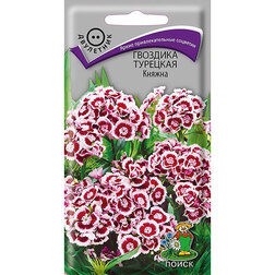 ������ ������ �������� �������� ������   ����