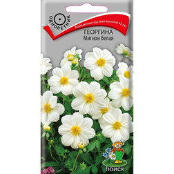 ������ ������ �������� ������ �����   ����