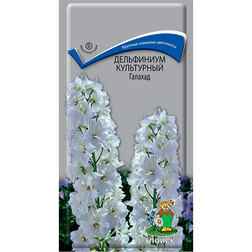 ������ ������ ���������� ���������� �������   ����