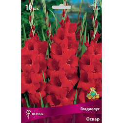 ������ ������ ��������� �����   ����