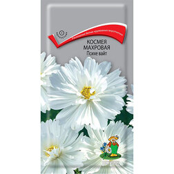 ������ ������ ������ �������� ����� ����   ����