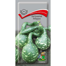 ������ ������ ��������� ��������   ����