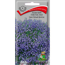 ������ ������ ������� ��������� ����-����� ������   ����