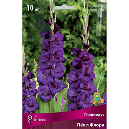 ������ ������ ��������� ���� �����   ����