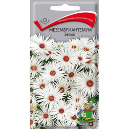 ������ ������ ��������������� �����   ����